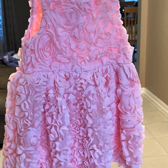 Cat & Jack baby/ little girl rosette dress - Picture 3 of 6